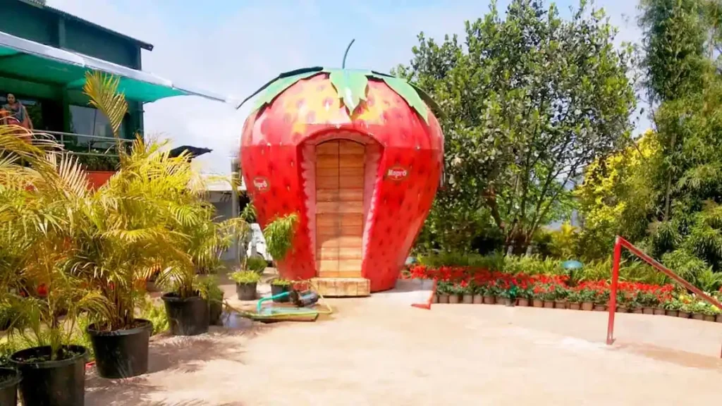 mahabaleshwar mapro garden-mahabaleshwar places to visit